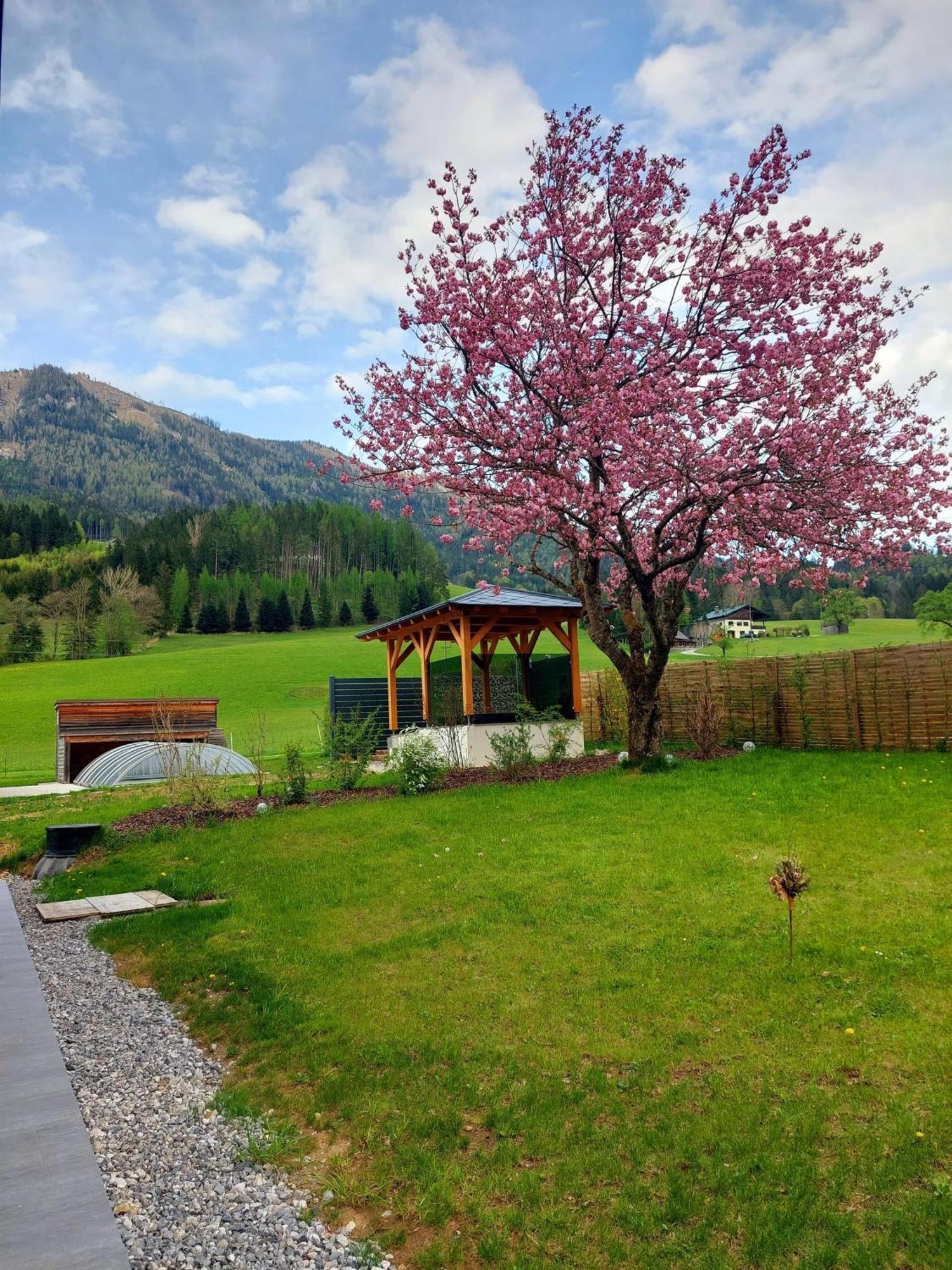 Ferienwohnung Hofpower'S Mountain Feeling Hinterstoder Exterior foto